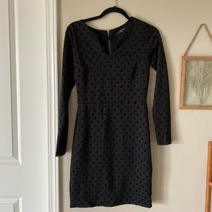The Limited black long sleeve dress